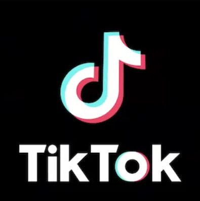 パキスタン政府､二転三転するTikTok禁止措置 ｢公序良俗に反するコンテンツ｣の削除求める | 「財新」中国Biz＆Tech | 東洋経済オンライン